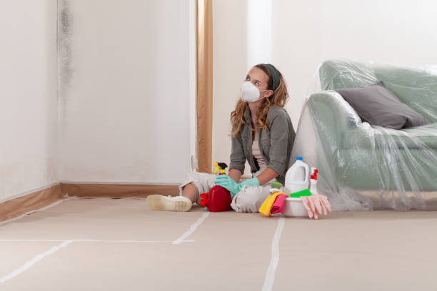 Reliable Mold Remediation contractor in Tieton, WA by 24 Hour Mold Removal